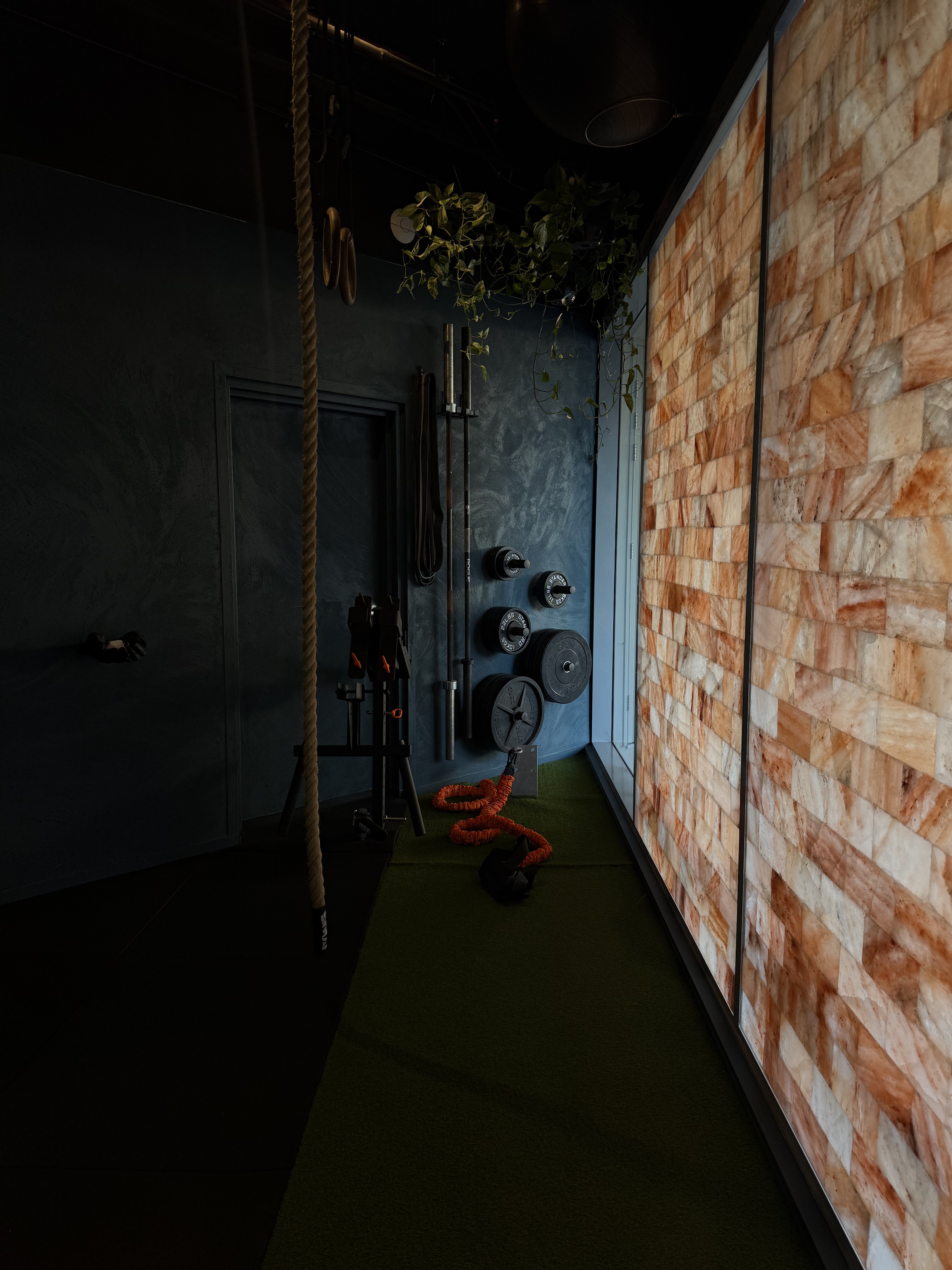 Rogue barbell and bumper plates racked on the studio floor at AD Studio